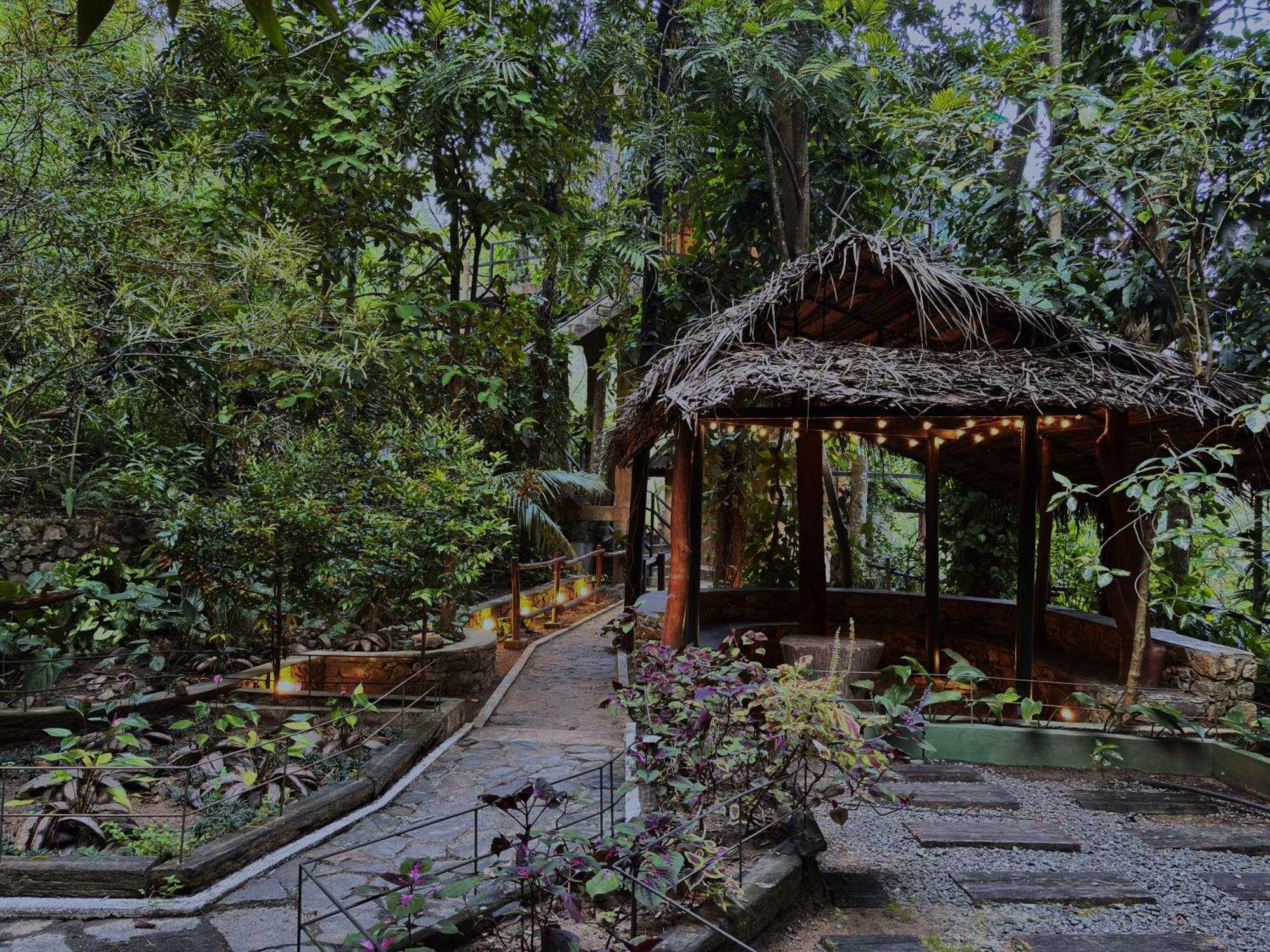 Arana Sri Lanka Eco Lodge And Yoga Center Procida Dış mekan fotoğraf